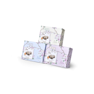 Colomba Classic
